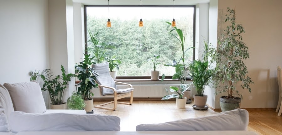 Phong cách Eco-Friendly – Xanh và bền vững